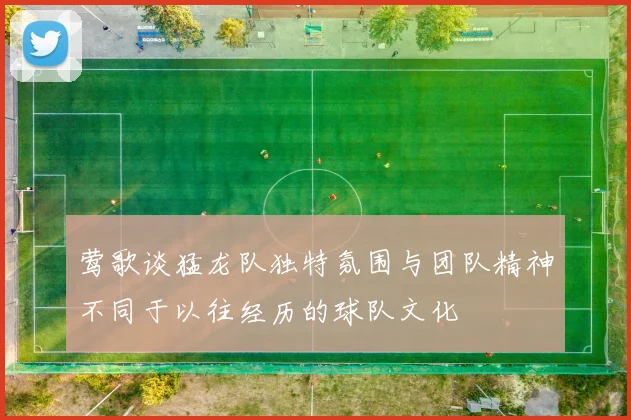 莺歌谈猛龙队独特氛围与团队精神不同于以往经历的球队文化